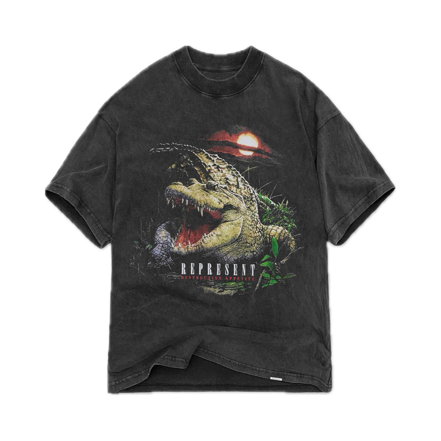 Stellen Sie Destructive Appetite Tee Vintage Grey dar