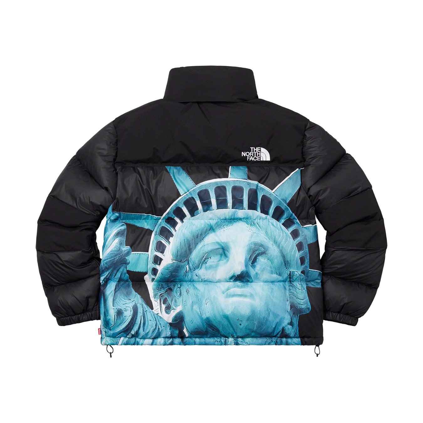 Supreme The North Face Statue of Liberty Baltoro Jacket Supreme