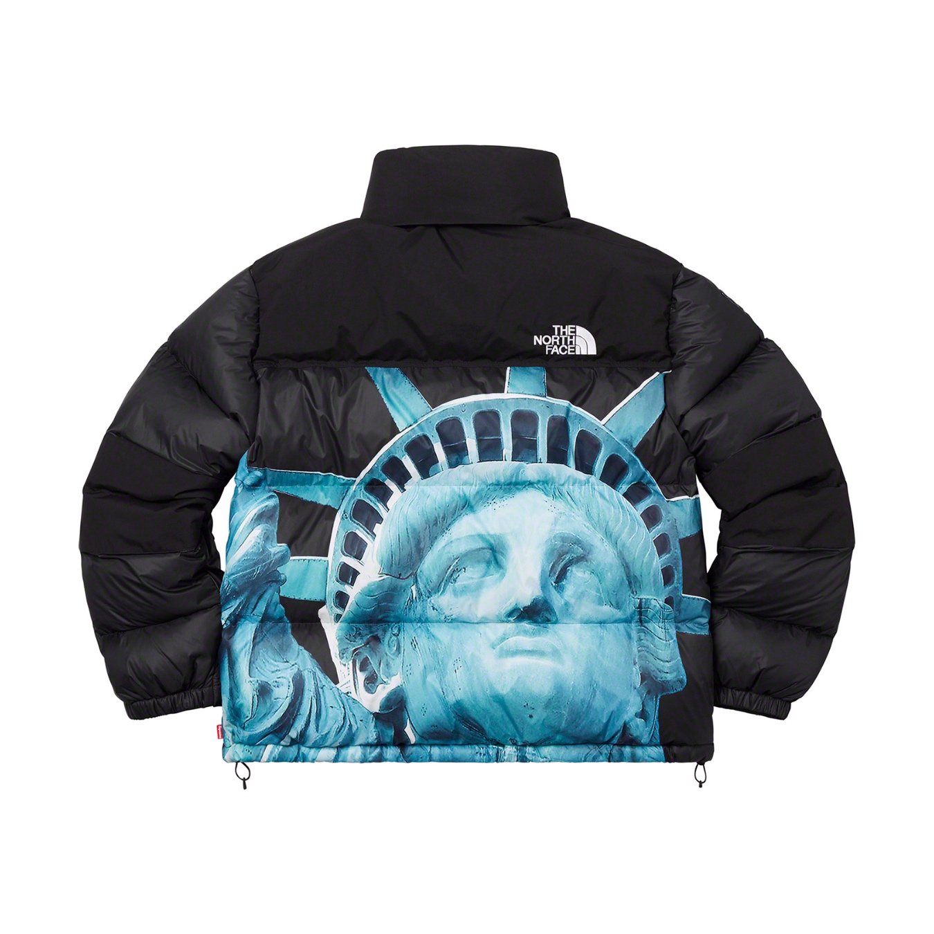 Supreme The North Face Statue of Liberty Baltoro Jacket – CRUIZER