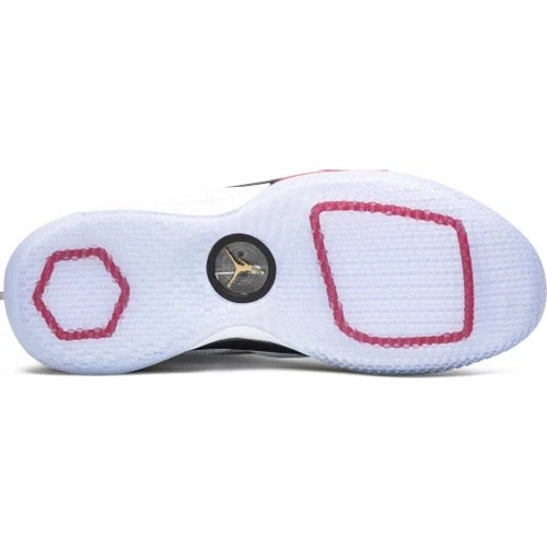 Air Jordan XXXIII Future of Flight â CRUIZER